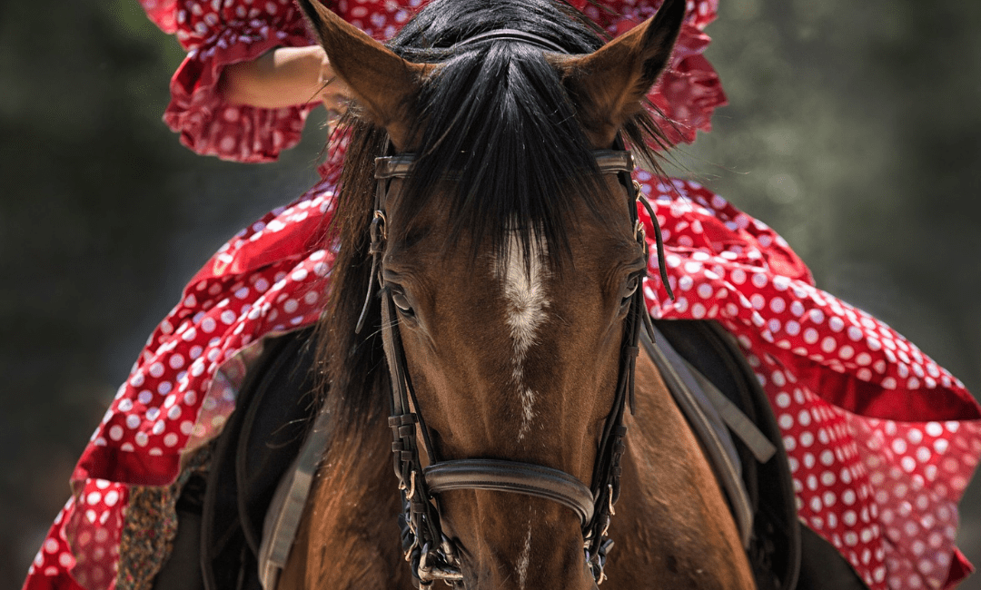 Menús Feria San Lucas Jaén