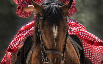 Menús Feria San Lucas 2020