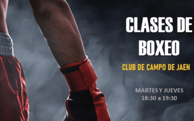Clases de Boxeo