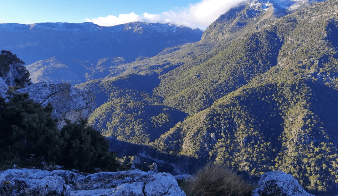 Fotogalería y crónica de la ruta de senderismo «Madroñales-Matamulillos»