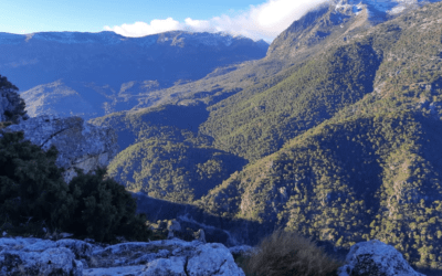 Fotogalería y crónica de la ruta de senderismo «Madroñales-Matamulillos»