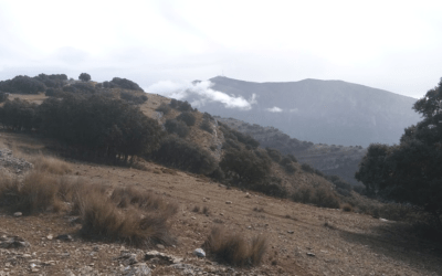 Fotogalería y crónica de la ruta de senderismo «Peña del Águila»