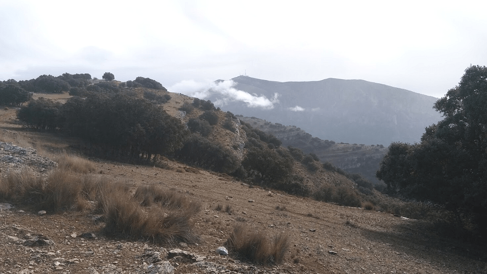 Fotogalería y crónica de la ruta de senderismo «Peña del Águila»
