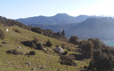 Fotogalería y crónica de la ruta de senderismo «Subida al Llano de la Nava»