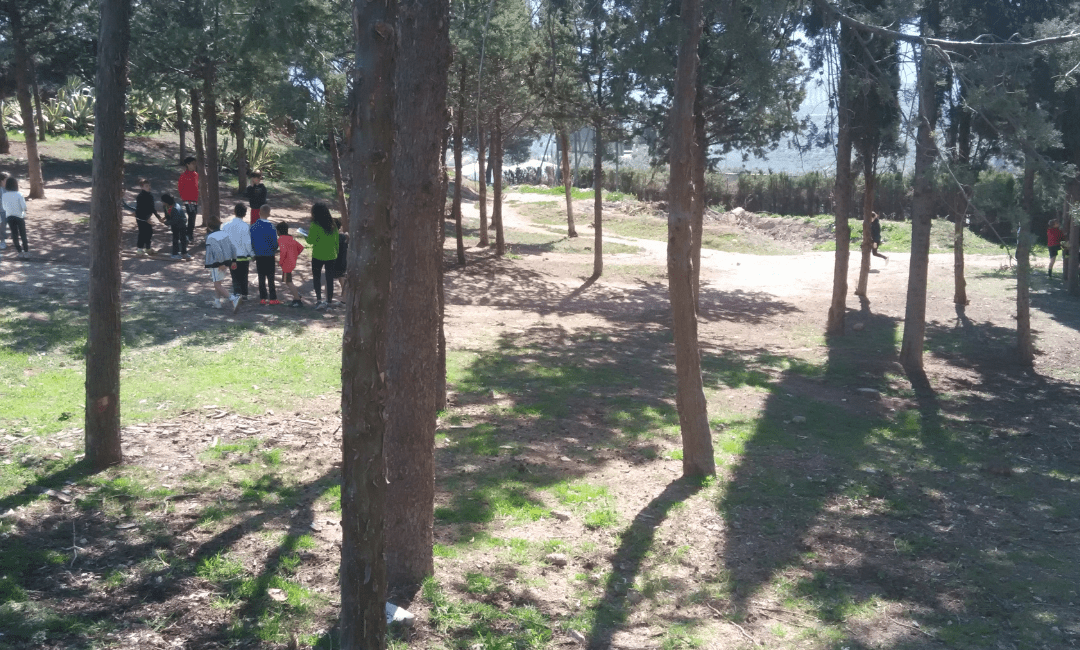 Escuela de verano, Vivac y velada nocturna