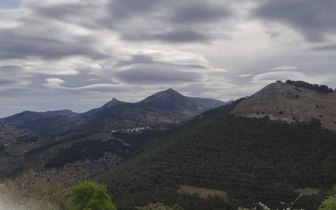 Fotogalería y crónica de la ruta de senderismo «Sierra de la Grana»