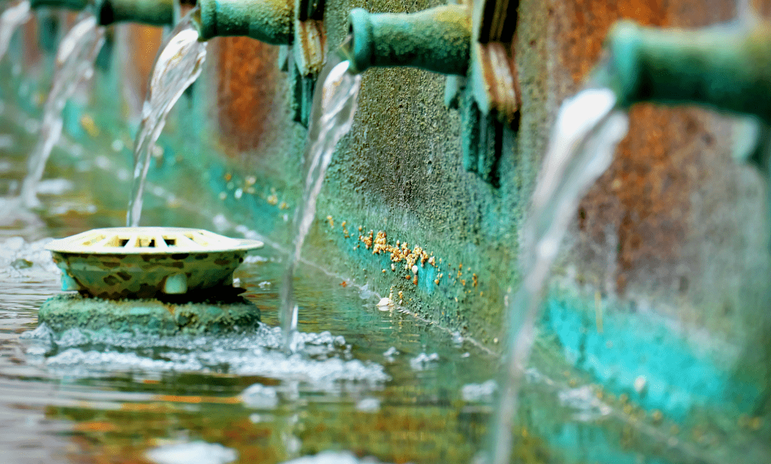 Visita Cultural «Ruta del Agua»