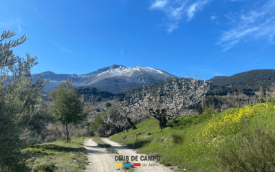 Fotogalería y crónica de la ruta de senderismo por «Fuenmayor (Torres)»