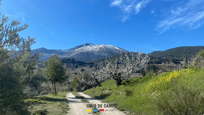 Fotogalería y crónica de la ruta de senderismo por «Fuenmayor (Torres)»