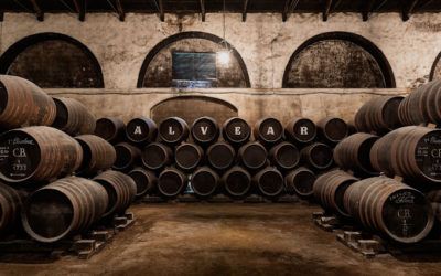 Visita a Bodegas Alvear