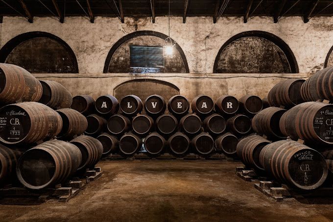 Visita a Bodegas Alvear