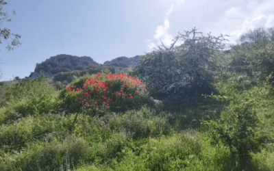 Fotogalería y crónica de la ruta de los Malos Vientos «P.N. de las Sierras Subbéticas»