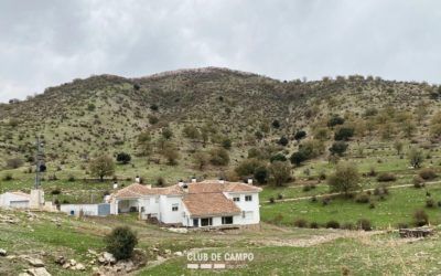 Crónica y galería de fotos de la ruta de senderismo «Pico de la Media Luna»